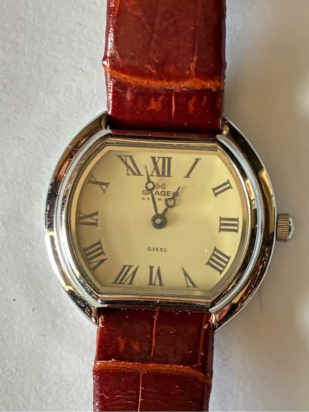 Skagen Silver Case Watch with Red-Brown Leather Strap